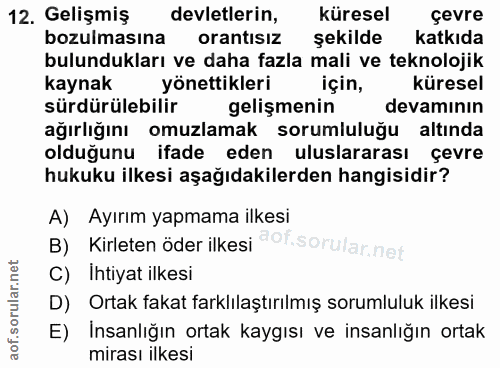 12. soru: Gelişmiş devletlerin, küresel çevre bozulmasına orantısız şekilde katkıda bulundukları ve daha fazla mali ve teknoloj…
