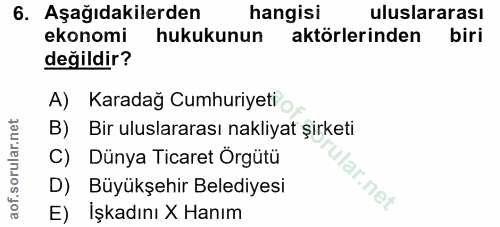 6. soru: Aşağıdakilerden hangisi uluslararası ekonomi hukukunun aktörlerinden biri değildir? A) Karadağ Cumhuriyeti B) Bir ulu…