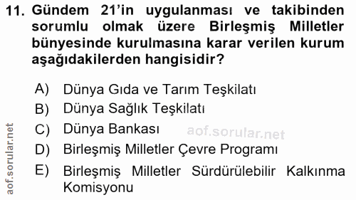 11. soru: Gündem 21'in uygulanması ve takibinden sorumlu olmak üzere Birleşmiş Milletler bünyesinde kurulmasına karar verilen k…