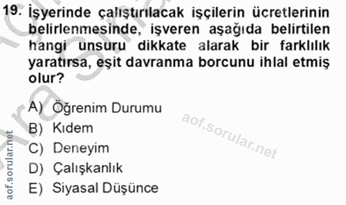 19. soru: İşyerinde çalıştırılacak işçilerin ücretlerinin belirlenmesinde, işveren aşağıda belirtilen hangi unsuru dikkate alar…