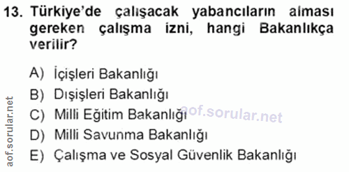 13. soru: Türkiye'de çalışacak yabancıların alması gereken çalışma izni, hangi Bakanlıkça verilir? A) Içişleri Bakanlığı B) Dış…