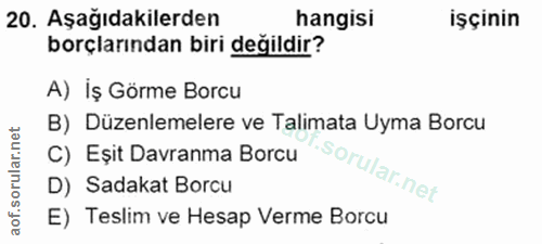 20. soru: Aşağıdakilerden hangisi işçinin borçlarından biri değildir? A) Iş Görme Borcu B) Düzenlemelere ve Talimata Uyma Borcu…