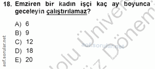 18. soru: Emziren bir kadın işçi kaç ay boyunca geceleyin çalıştırılamaz? A) 6 OnIV sonen B) 9 C) 12 D) 18 E) 20