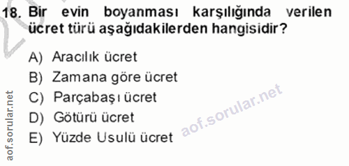 18. soru: Bir evin boyanması karşılığında verilen ücret türü aşağıdakilerden hangisidir? A) Aracılik ücret B) Zamana göre ücret…