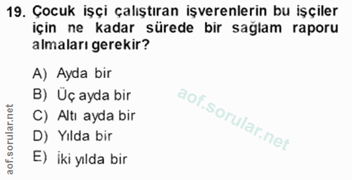 19. soru: Çocuk işçi çalıştıran işverenlerin bu işçiler için ne kadar sürede bir sağlam raporu almaları gerekir? A) Ayda bir B)…