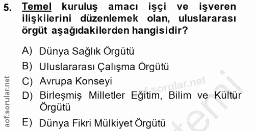 5. soru: Temel kuruluş amacı işçi ve işveren ilişkilerini düzenlemek olan, uluslararası örgüt aşağıdakilerden hangisidir? A) D…