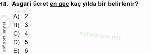 18. soru: Asgari ücret en geç kaç yılda bir belirlenir? A) 2 B) 3 C) 4 D) 5 E) 6