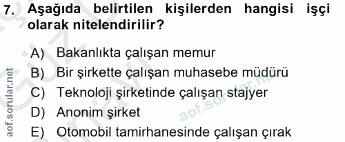 7. soru: Aşağıda belirtilen kişilerden hangisi işçi olarak nitelendirilir? A) Bakanlıkta çalışan memur B) Bir şirkette çalışan…