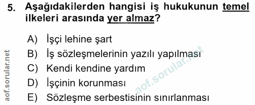 5. soru: Aşağıdakilerden hangisi iş hukukunun temel ilkeleri arasında yer almaz? A) Işçi lehine şart B) İş sözleşmelerinin yaz…