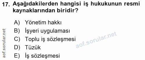 17. soru: Aşağıdakilerden hangisi iş hukukunun resmi kaynaklarından biridir? A) Yönetim hakkı B) Işyeri uygulaması C) Toplu iş…