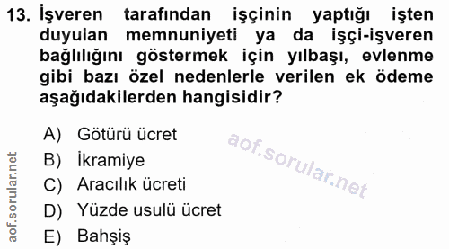 13. soru: İşveren tarafından işçinin yaptığı işten duyulan memnuniyeti ya da işçi-işveren bağlılığını göstermek için yılbaşı, e…