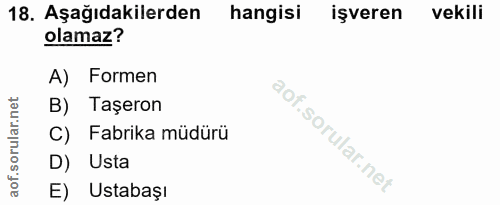 18. soru: Aşağıdakilerden hangisi işveren vekili olamaz? A) Formen B) Taşeron C) Fabrika müdürü D) Usta E) Ustabaşı