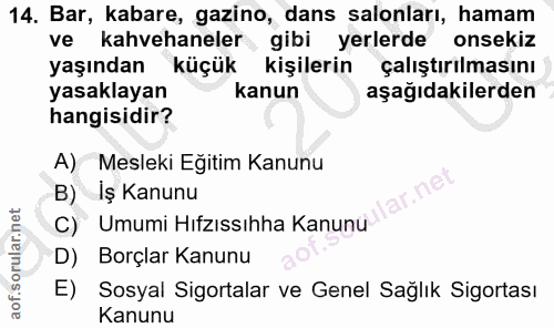 14. soru: Bar, kabare, gazino, dans salonları, hamam ve kahvehaneler gibi yerlerde onsekiz yaşından küçük kişilerin çalıştırılm…