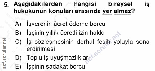 5. soru: Aşağıdakilerden hangisi bireysel hukukunun konuları arasında yer almaz? A) Işverenin ücret ödeme borcu B) Işçinin yıl…