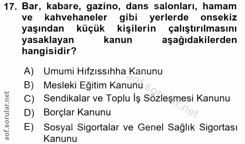 17. soru: Bar, kabare, gazino, dans salonları, hamam ve kahvehaneler gibi yerlerde onsekiz yaşından küçük kişilerin çalıştırılm…