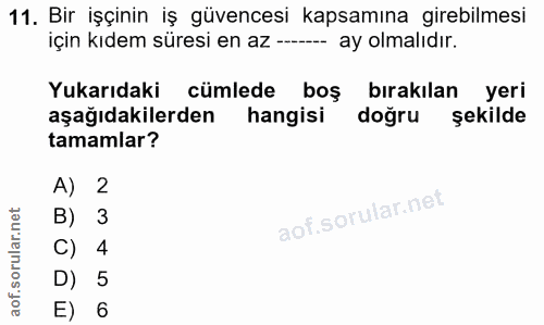 11. soru: Bir işçinin iş güvencesi kapsamına girebilmesi için kıdem süresi en az -- ay olmalıdır. Yukarıdaki cümlede boş bırakı…