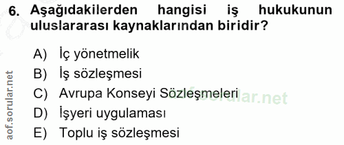 6. soru: Aşağıdakilerden hangisi iş hukukunun uluslararası kaynaklarından biridir? A) Iç yönetmelik B) Iş sözleşmesi C) Avrupa…