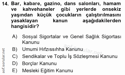 14. soru: Bar, kabare, gazino, dans salonları, hamam ve kahvehaneler gibi yerlerde onsekiz yaşından küçük çocukların çalıştırıl…