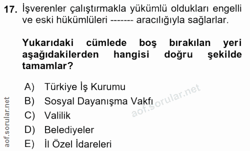 17. soru: İşverenler çalıştırmakla yükümlü oldukları engelli ve eski hükümlüleri ----- aracılığıyla sağlarlar. Yukarıdaki cümle…