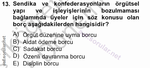 13. soru: Sendika ve konfederasyonların örgütsel yapı ve işleyişlerinin • bozulmaması bağlamında üyeler için söz konusu olan bo…