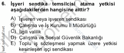 6. soru: İşyeri sendika temsilcisi atama yetkisi aşağıdakilerden hangisine aittir? A) İşveren veya işveren sendikası B) Çalışm…