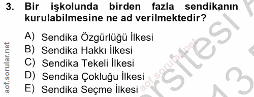 3. soru: Bir işkolunda birden fazla sendikanın kurulabilmesine ne ad verilmektedir? A) Sendika Ozgürlüğü llkesi B) Sendika Hak…