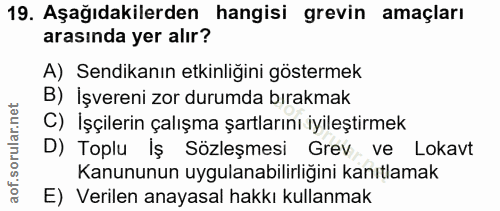 19. soru: Aşağıdakilerden hangisi grevin amaçları arasında yer alır? A) Sendikanın etkinliğini göstermek B) İşvereni zor durumd…