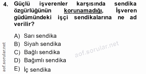 4. soru: Güçlü Güçlü işverenler karşısında sendika özgürlüğünün korunamadığı, İşveren güdümündeki işçi sendikalarına ne ad ver…