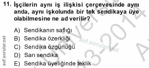 11. soru: İşçilerin aynı iş ilişkisi çerçevesinde aynı anda, aynı işkolunda bir tek sendikaya üye olabilmesine ne ad verilir? A…