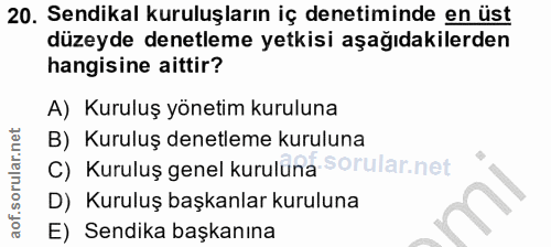 20. soru: Sendikal kuruluşların iç denetiminde en üst düzeyde denetleme yetkisi aşağıdakilerden hangisine aittir? A) Kuruluş yö…