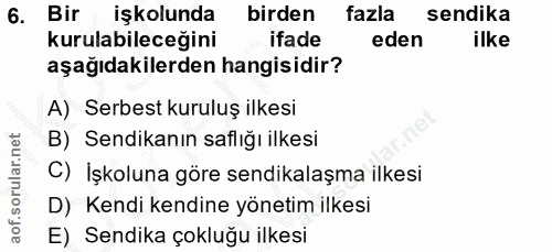 6. soru: Bir işkolunda birden fazla sendika kurulabileceğini ifade eden ilke aşağıdakilerden hangisidir? A) Serbest kuruluş il…