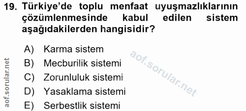 19. soru: Türkiye'de toplu menfaat uyuşmazlıklarının çözümlenmesinde kabul edilen sistem aşağıdakilerden hangisidir? A) Karma s…
