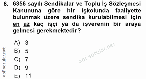 8. soru: 6356 sayılı Sendikalar ve Toplu İş Sözleşmesi Kanununa göre bir işkolunda faaliyette bulunmak üzere sendika kurulabil…