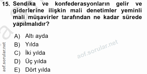 15. soru: Sendika ve konfederasyonların gelir ve giderlerine ilişkin mali denetimler yeminli mali müşavirler tarafından ne kada…