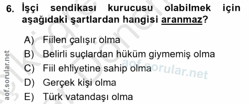 6. soru: İşçi sendikası kurucusu olabilmek için aşağıdaki şartlardan hangisi aranmaz? A) Fiilen çalışır olma B) Belirli suçlar…