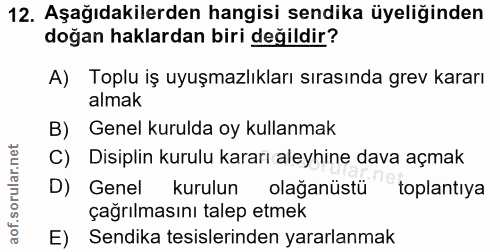 12. soru: Aşağıdakilerden hangisi sendika üyeliğinden doğan haklardan biri değildir? A) Toplu iş uyuşmazlıkları sırasında grev…