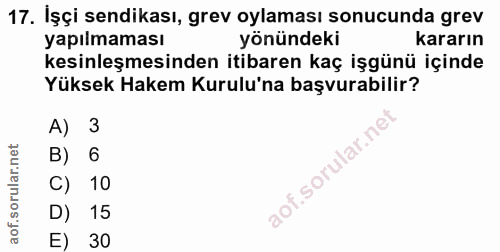 17. soru: İşçi sendikası, grev oylaması sonucunda grev yapılmaması yönündeki kararın kesinleşmesinden itibaren kaç işgünü içind…