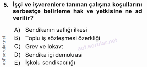 5. soru: İşçi ve işverenlere tanınan çalışma koşullarını serbestçe belirleme hak ve yetkisine ne ad verilir? A) Sendikanın saf…