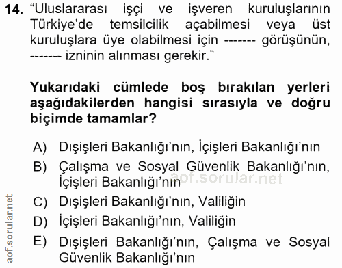 14. soru: "Uluslararası işçi ve işveren kuruluşlarının Türkiye'de temsilcilik açabilmesi veya üst kuruluşlara üye olabilmesi iç…