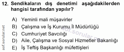 12. soru: Sendikaların dış denetimi aşağıdakilerden hangisi tarafından yapılır? A) Yeminli mali müşavirler B) Çalışma ve İş Kur…