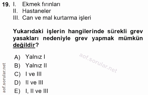 19. soru: I. Ekmek fırınları II. Hastaneler III. Can ve mal kurtarma işleri Yukarıdaki işlerin hangilerinde sürekli grev yasakl…