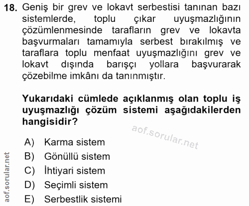 18. soru: Geniş bir grev ve lokavt serbestisi tanınan bazı sistemlerde, toplu çıkar uyuşmazlığının çözümlenmesinde tarafların g…