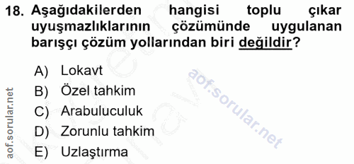 18. soru: Aşağıdakilerden hangisi toplu çıkar uyuşmazlıklarının çözümünde uygulanan barışçı çözüm yollarından biri değildir? A)…