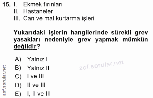 15. soru: I. Ekmek fırınları Il. Hastaneler III. Can ve mal kurtarma işleri Yukarıdaki işlerin hangilerinde sürekli grev yasakl…