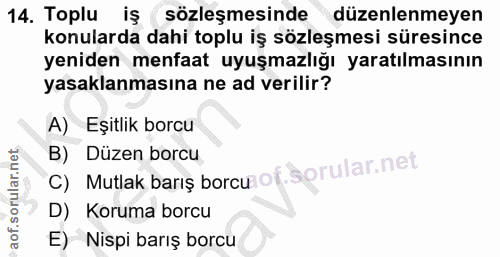 14. soru: Toplu iş ( sözleşmesinde düzenlenmeyen konularda dahi toplu iş sözleşmesi süresince yeniden menfaat uyuşmazlığı yarat…