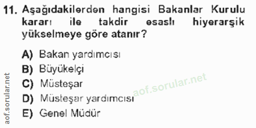11. soru: Aşağıdakilerden hangisi Bakanlar Kurulu kararı takdir esaslı hiyerarşik yükselmeye göre atanır? A) Bakan yardımcısı B…