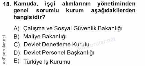 18. soru: Kamuda, işçi alımlarının yönetiminden genel sorumlu kurum aşağıdakilerden hangisidir? A) Çalışma ve Sosyal Güvenlik B…