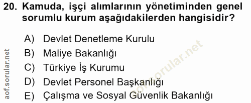 20. soru: Kamuda, işçi alımlarının yönetiminden genel sorumlu kurum aşağıdakilerden hangisidir? A) Devlet Denetleme Kurulu B) M…