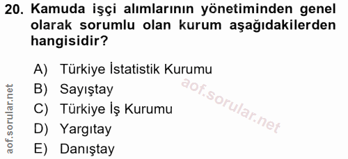 20. soru: Kamuda işçi alımlarının yönetiminden genel olarak sorumlu olan kurum aşağıdakilerden hangisidir? A) Türkiye Istatisti…