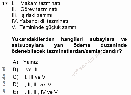 17. soru: l. Makam tazminatı Il. Görev tazminatı III. İş riski zammı IV. Yabancı dil tazminatı V. Temininde güçlük zammı Yukarı…